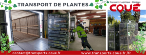 Transport Coué livraison plantes et fleurs avec beaucoup de précautions du chargement à la livraison en porteur hayon